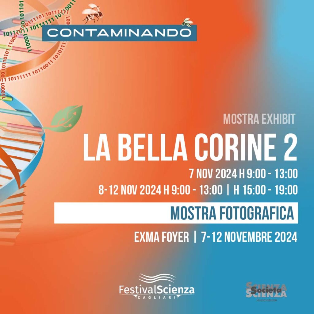 La bella CORINE 2